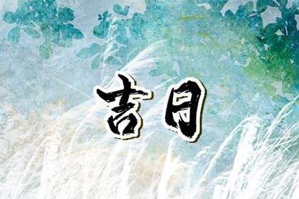 2025年09月13日提车日子如何 宜提车吉日查询