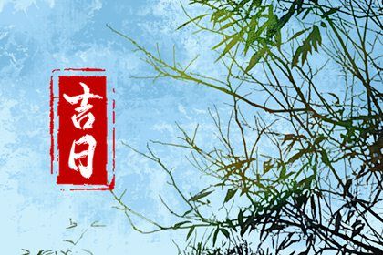 2025年农历四月廿四提车日子如何 今日提车买车好吗