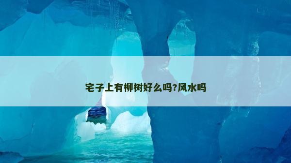 宅子上有柳树好么吗?风水吗