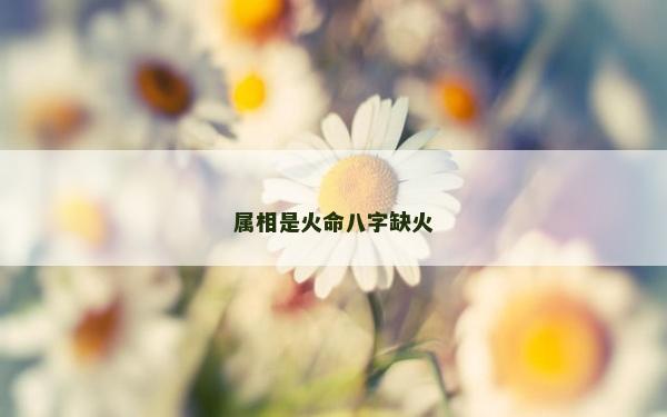 属相是火命八字缺火