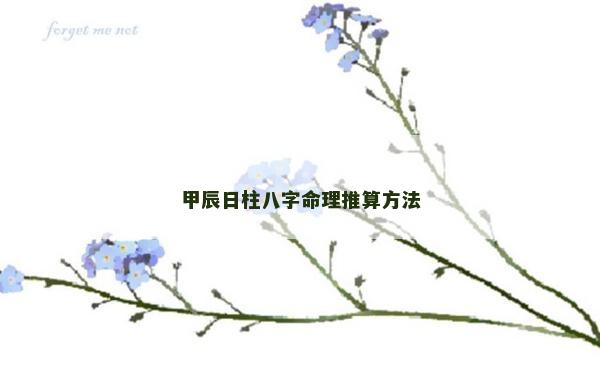甲辰日柱八字命理推算方法