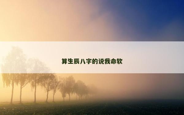 算生辰八字的说我命软