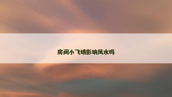 房间小飞蛾影响风水吗
