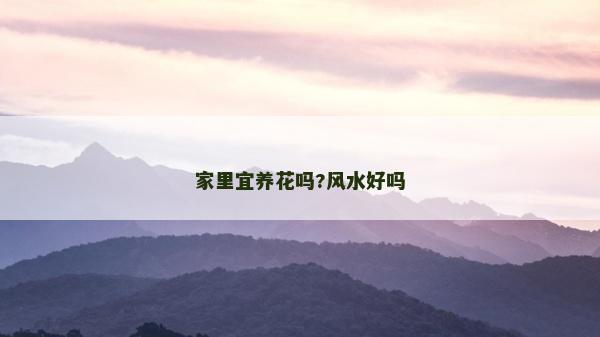 家里宜养花吗?风水好吗