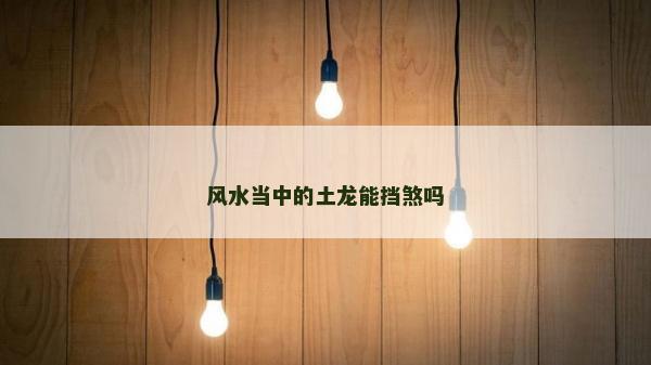风水当中的土龙能挡煞吗