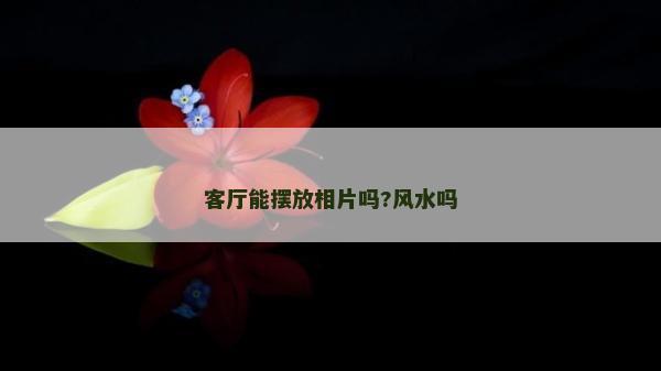 客厅能摆放相片吗?风水吗