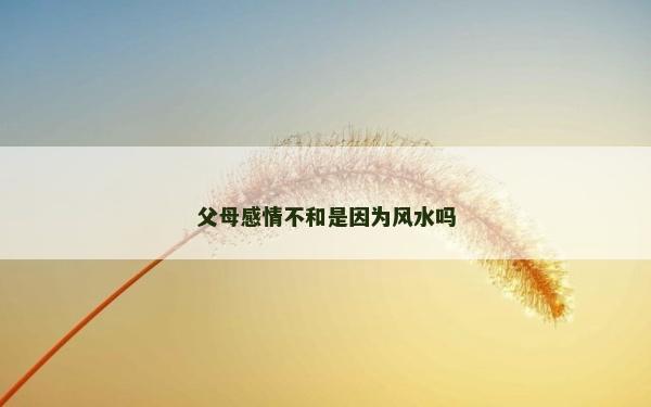 父母感情不和是因为风水吗