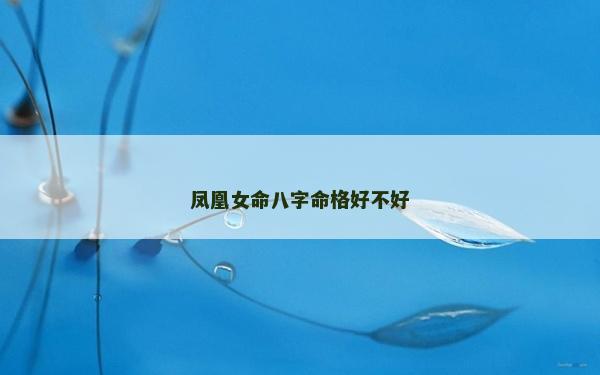 凤凰女命八字命格好不好