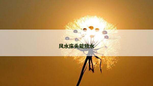 风水床头能放水