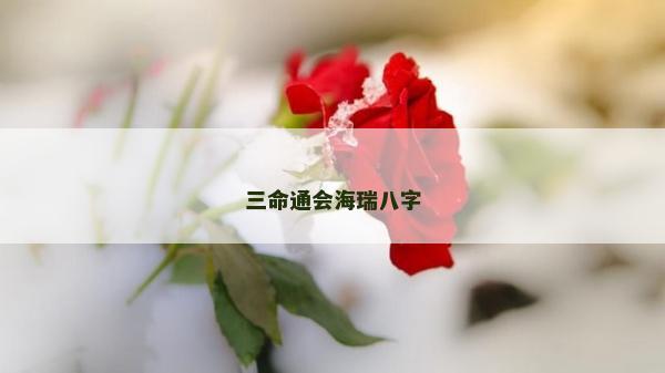 三命通会海瑞八字