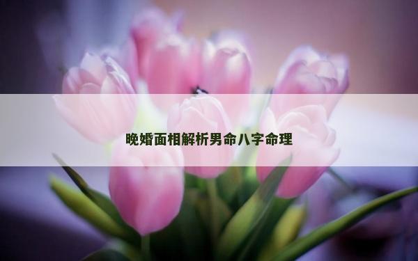 晚婚面相解析男命八字命理