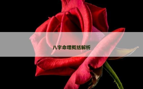 八字命理概括解析