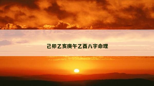 己卯乙亥庚午乙酉八字命理