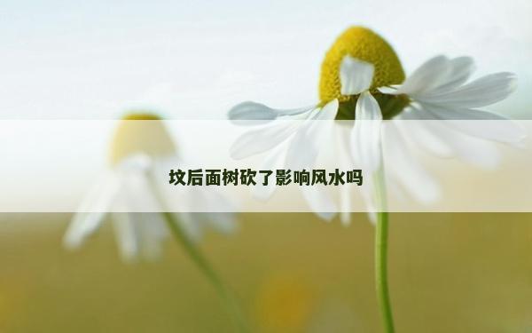 坟后面树砍了影响风水吗