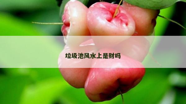 垃圾池风水上是财吗
