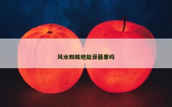 风水蜘蛛地能葬最里吗