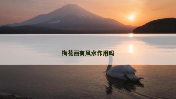 梅花画有风水作用吗