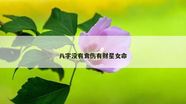 八字没有食伤有财星女命