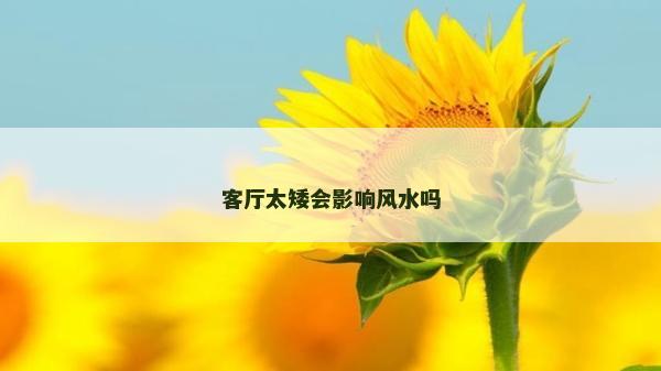 客厅太矮会影响风水吗