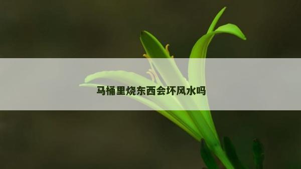 马桶里烧东西会坏风水吗