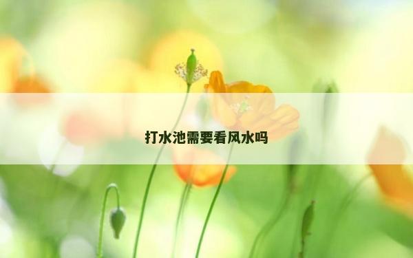 打水池需要看风水吗