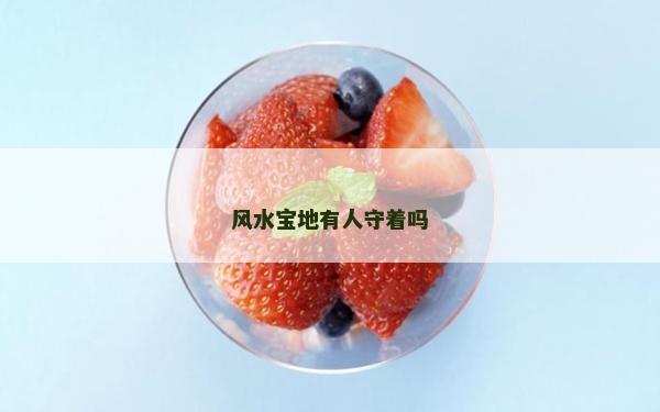 风水宝地有人守着吗
