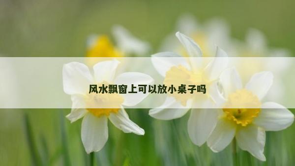 风水飘窗上可以放小桌子吗