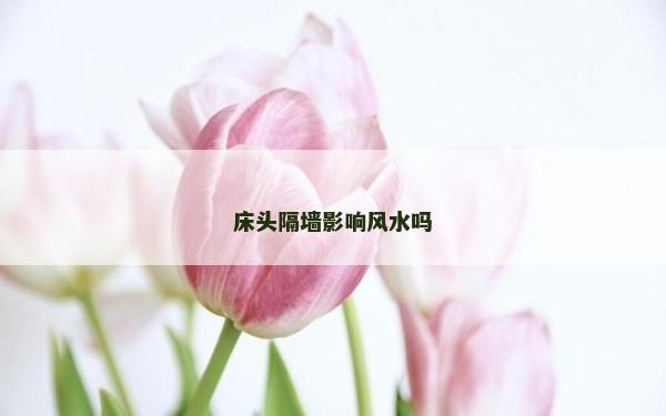 床头隔墙影响风水吗