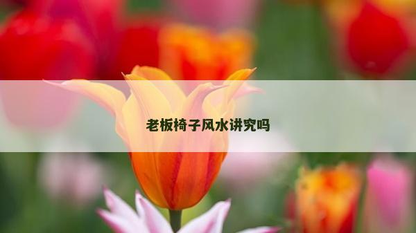 老板椅子风水讲究吗