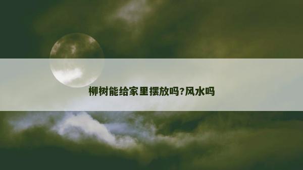 柳树能给家里摆放吗?风水吗
