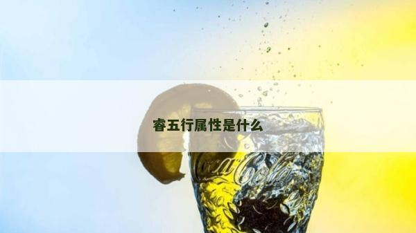 睿五行属性是什么