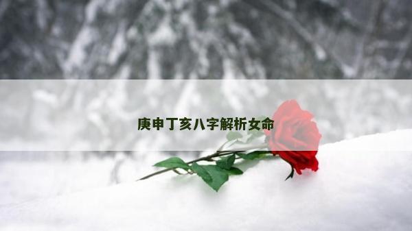 庚申丁亥八字解析女命