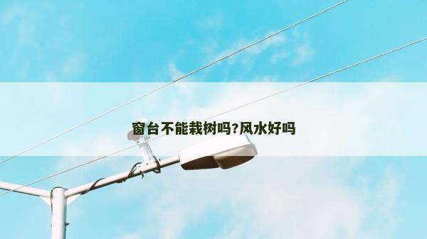 窗台不能栽树吗?风水好吗