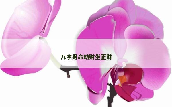 八字男命劫财坐正财