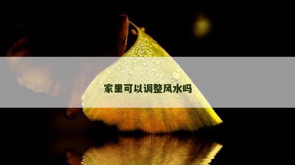 家里可以调整风水吗