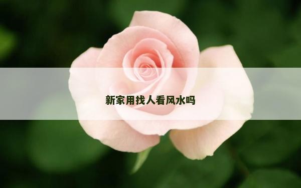 新家用找人看风水吗