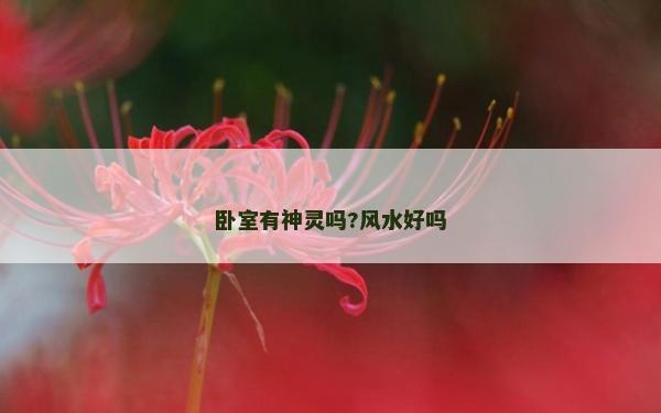 卧室有神灵吗?风水好吗