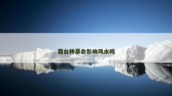 露台种草会影响风水吗