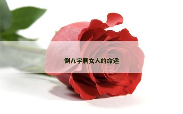 倒八字眉女人的命运