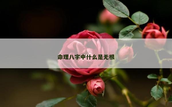 命理八字中什么是无根