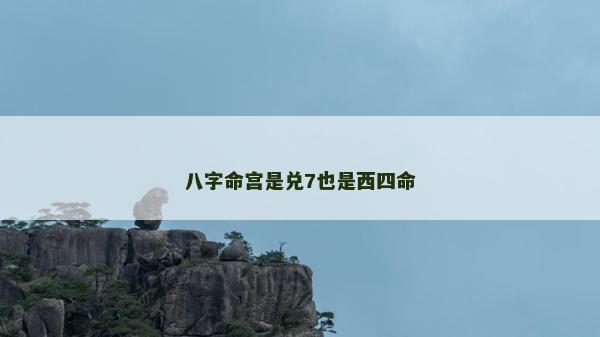 八字命宫是兑7也是西四命