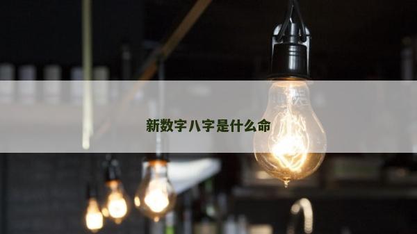 新数字八字是什么命