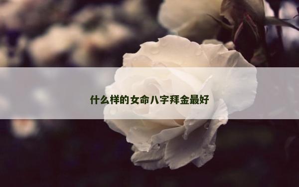 什么样的女命八字拜金最好