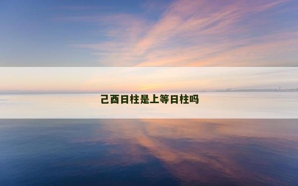 己酉日柱是上等日柱吗