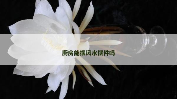 厨房能摆风水摆件吗