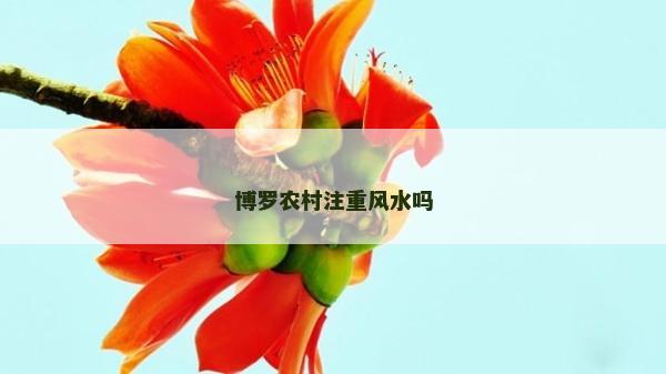 博罗农村注重风水吗