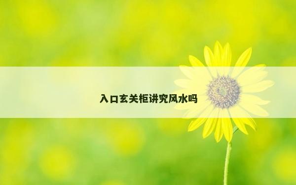 入口玄关柜讲究风水吗