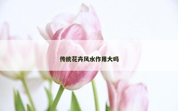 传统花卉风水作用大吗