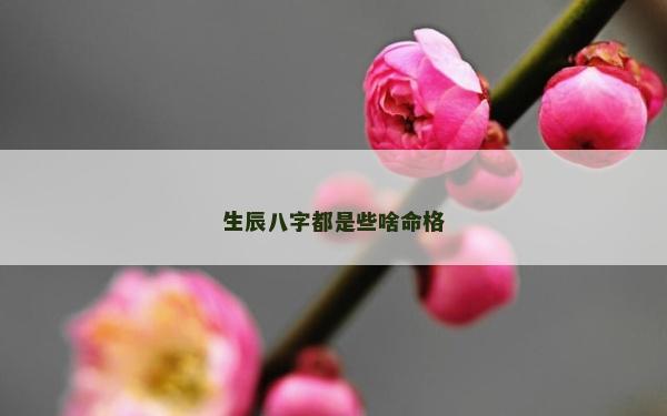 生辰八字都是些啥命格