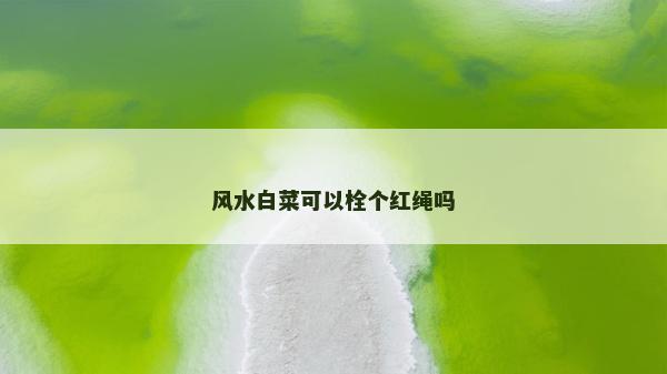 风水白菜可以栓个红绳吗